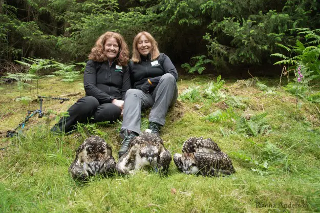 Two women sit behind three ospreys