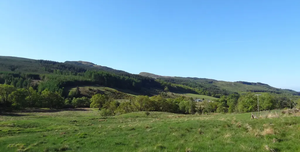 Green fields in the foreground with forest on the hillside in the background.