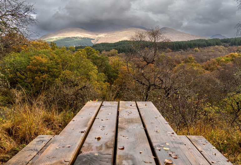A picnic table overlooking a autumn canopy 
