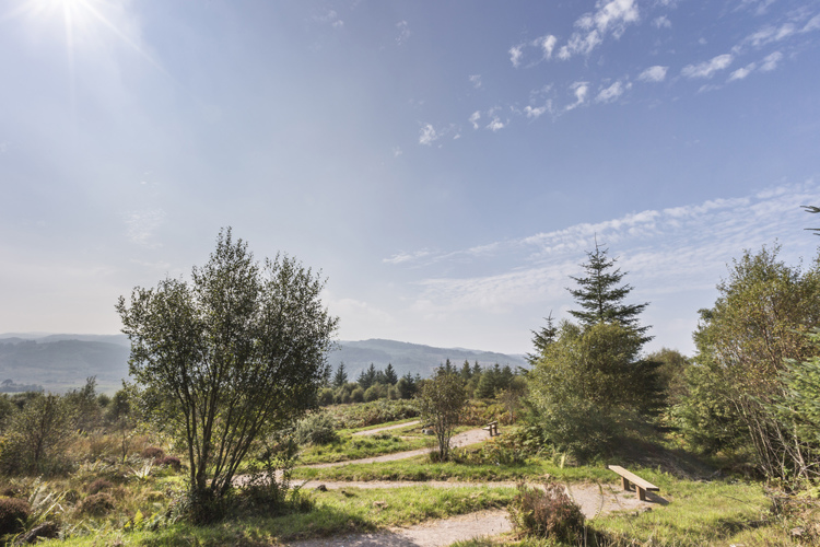 Landscape views with a winding path and benches at Achanbreac