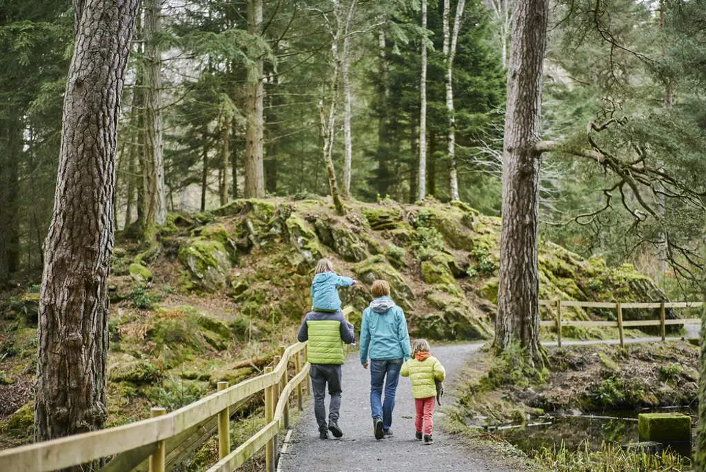 A family of 4 walking along a forest path next to a loch.