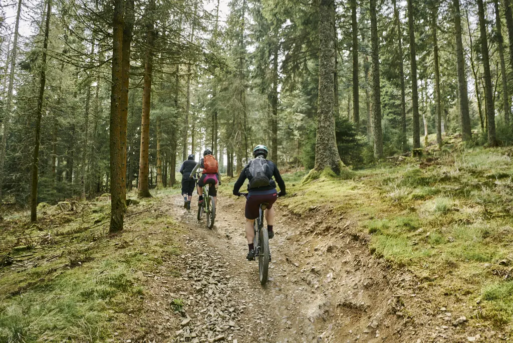 Group of three female mountain bikers ride bikes (one with orange rucksack) up hill on stony tree lined path, Glentress Forest near Peebles