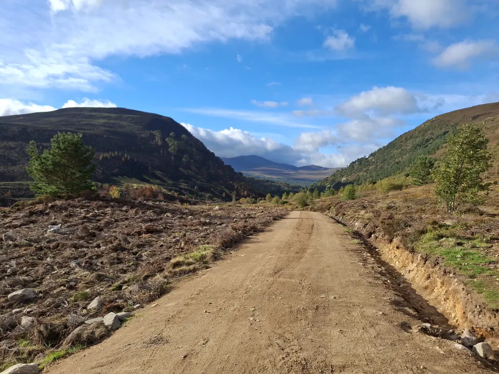 A path with a cleared area to the left and hills in the distance