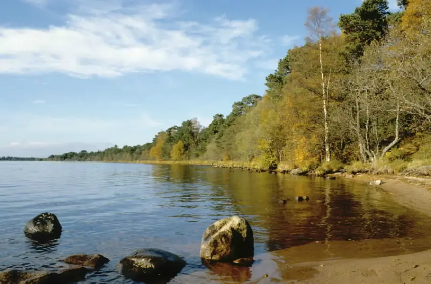 Calm body of water with tall green trees along the shore, rocks in the foreground and blue sky above