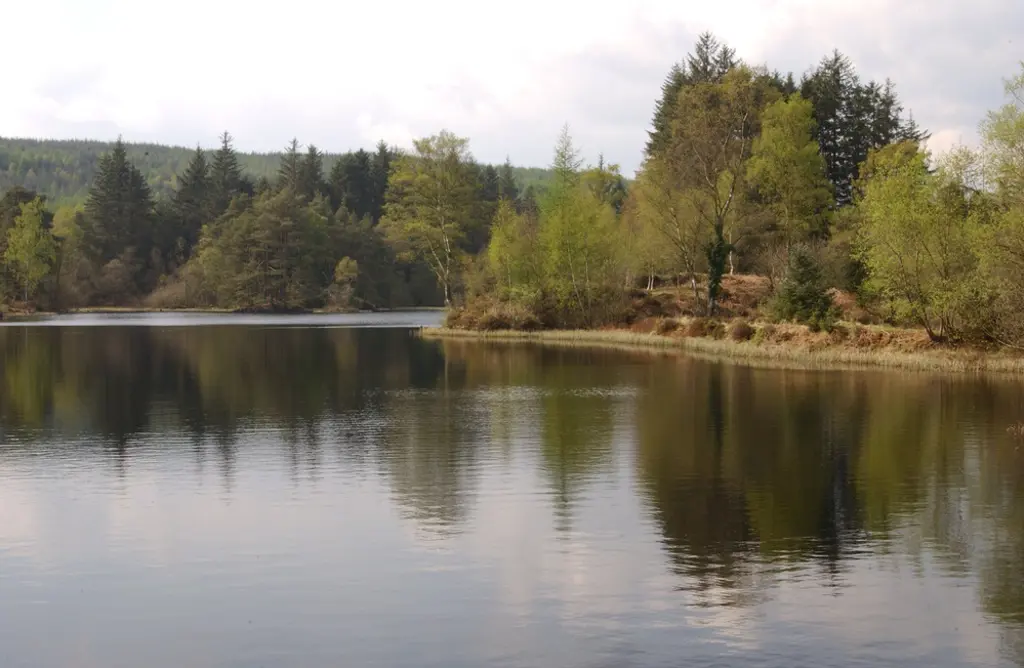 View over a still loch.