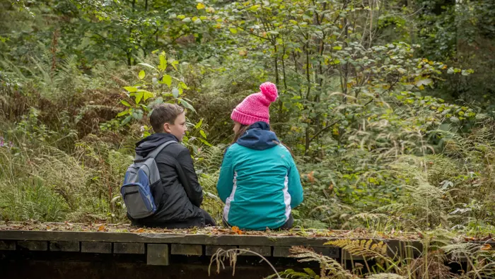 Rear view of young girl and young boy sitting together on wooden bridge over stream, Bluebell Wood, Renfrewshire Woods, near Johnstone