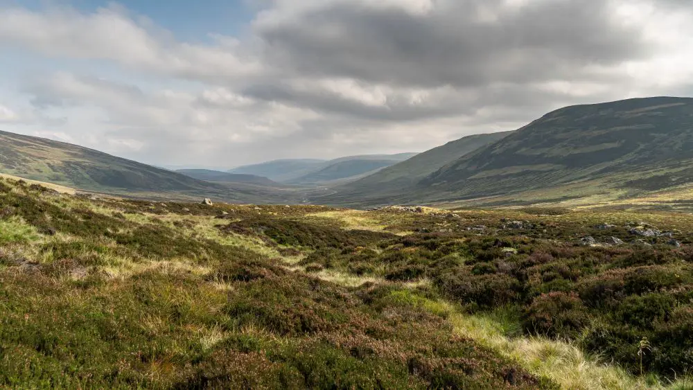 views of land and hills at Angus Glen