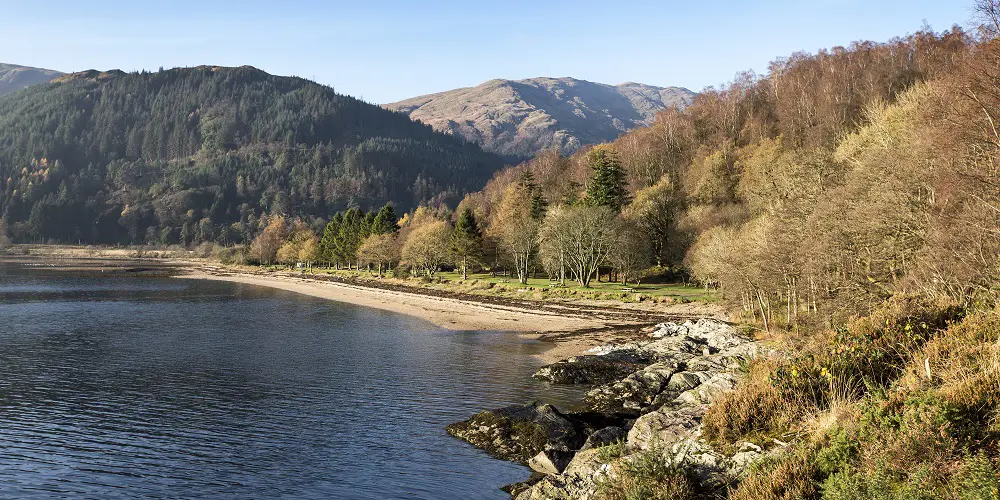 Forest and loch in Argyll Forest Park