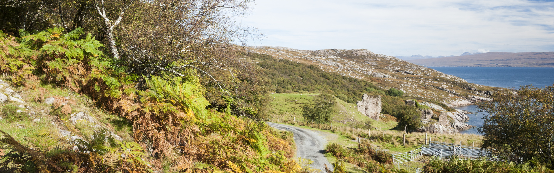 Close up of tree bark