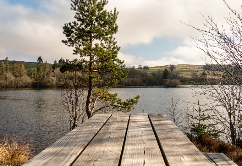 a picnic table next to water with trees
