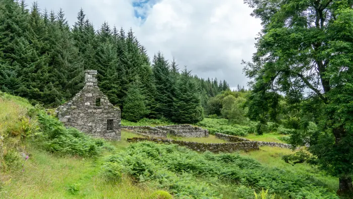 Derelict house surrounded by trees.