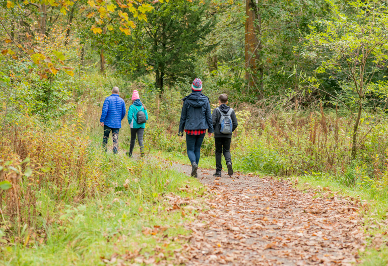 Rear view of man, woman, young girl and young boy walking together in forest path, Bluebell Wood, Renfrewshire Woods, near Johnstone