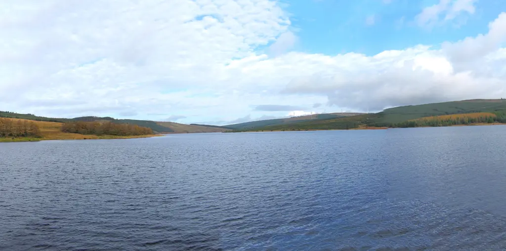 A calm loch with forests behind it