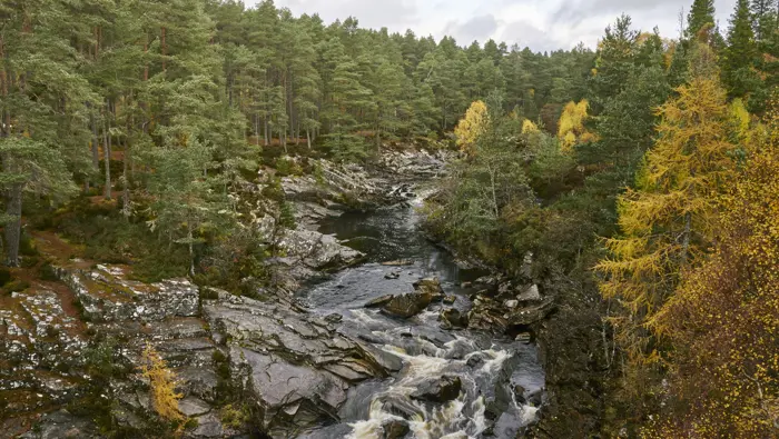 View looking down at a river with trees either side of the river.