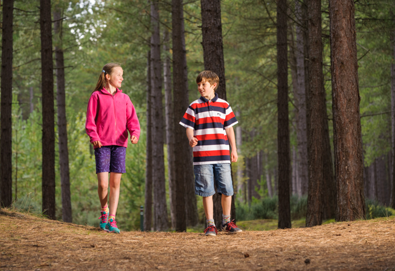 Girl and boy standing in a forest of tall trees on ground covered in brown pine needles.