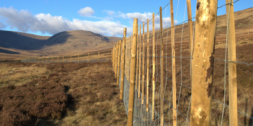 Fencing with a hill in the background.