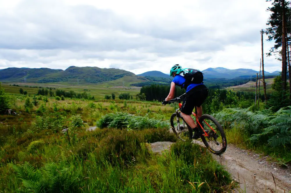 Person riding a bike on narrow track