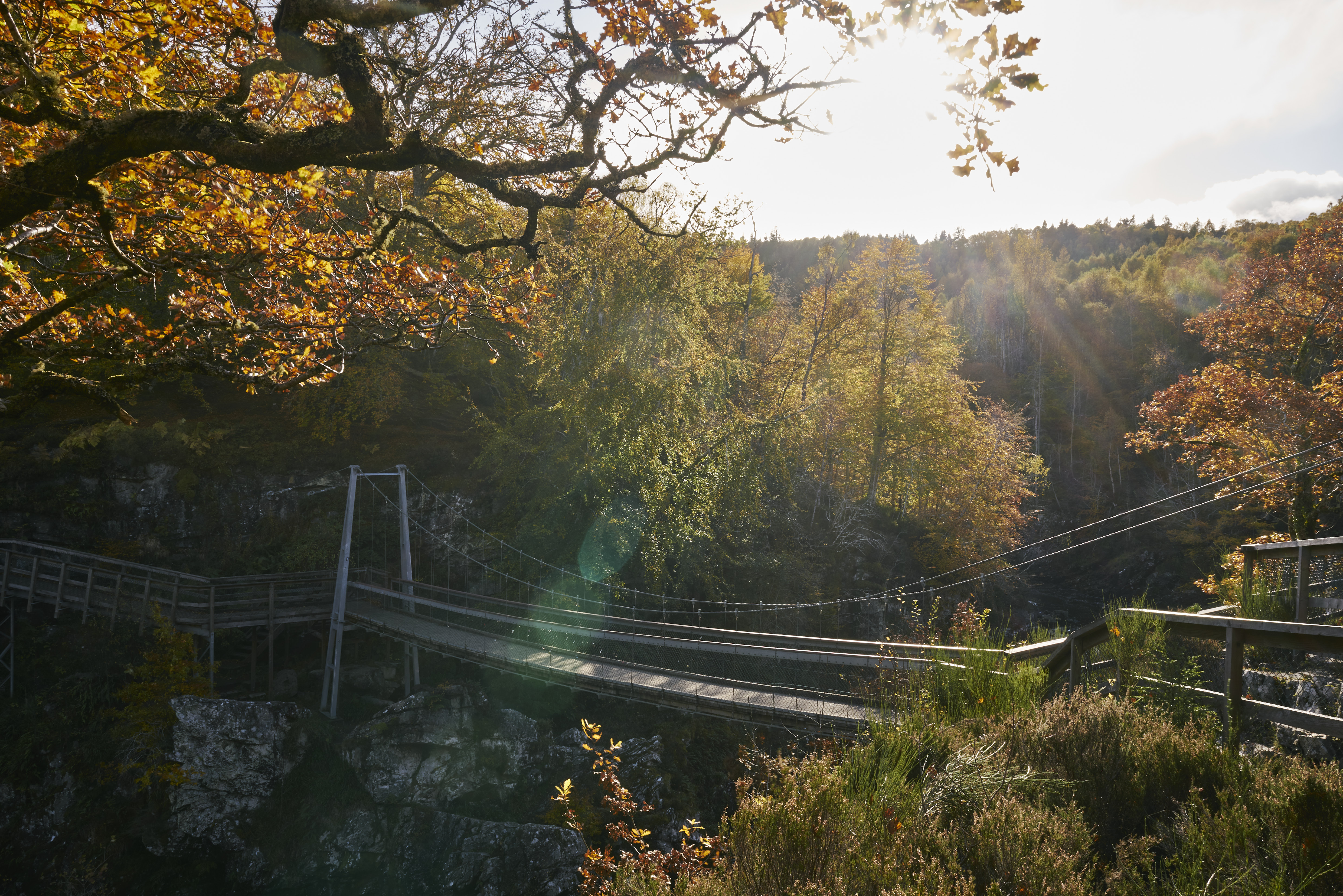 Suspension bridge at Rogie Falls