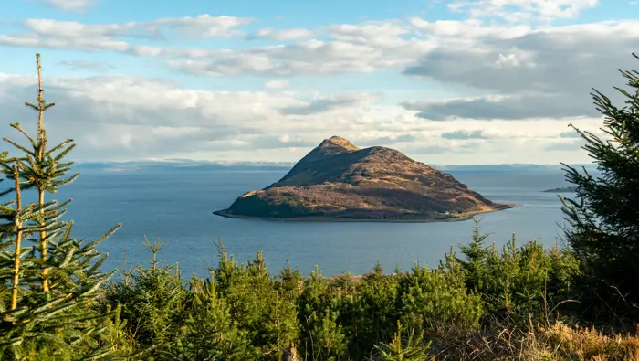 View of a small island from a slope with trees in the foreground.