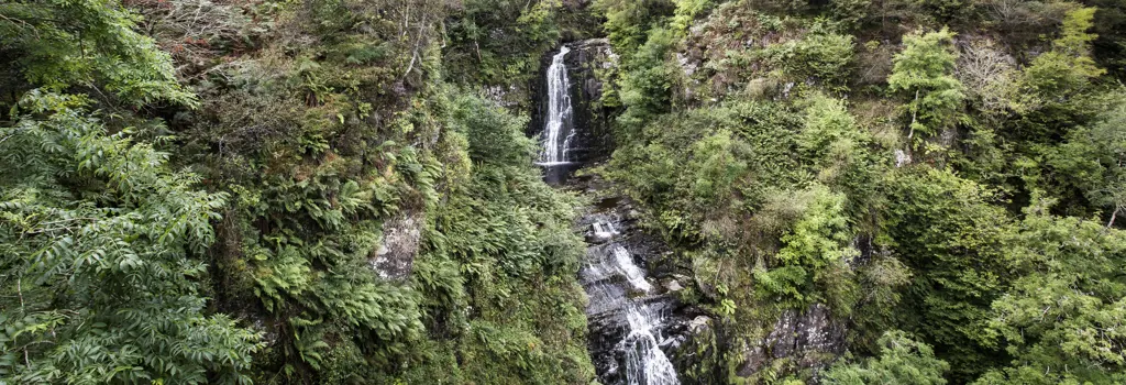 Waterfall with forest surrounding it.