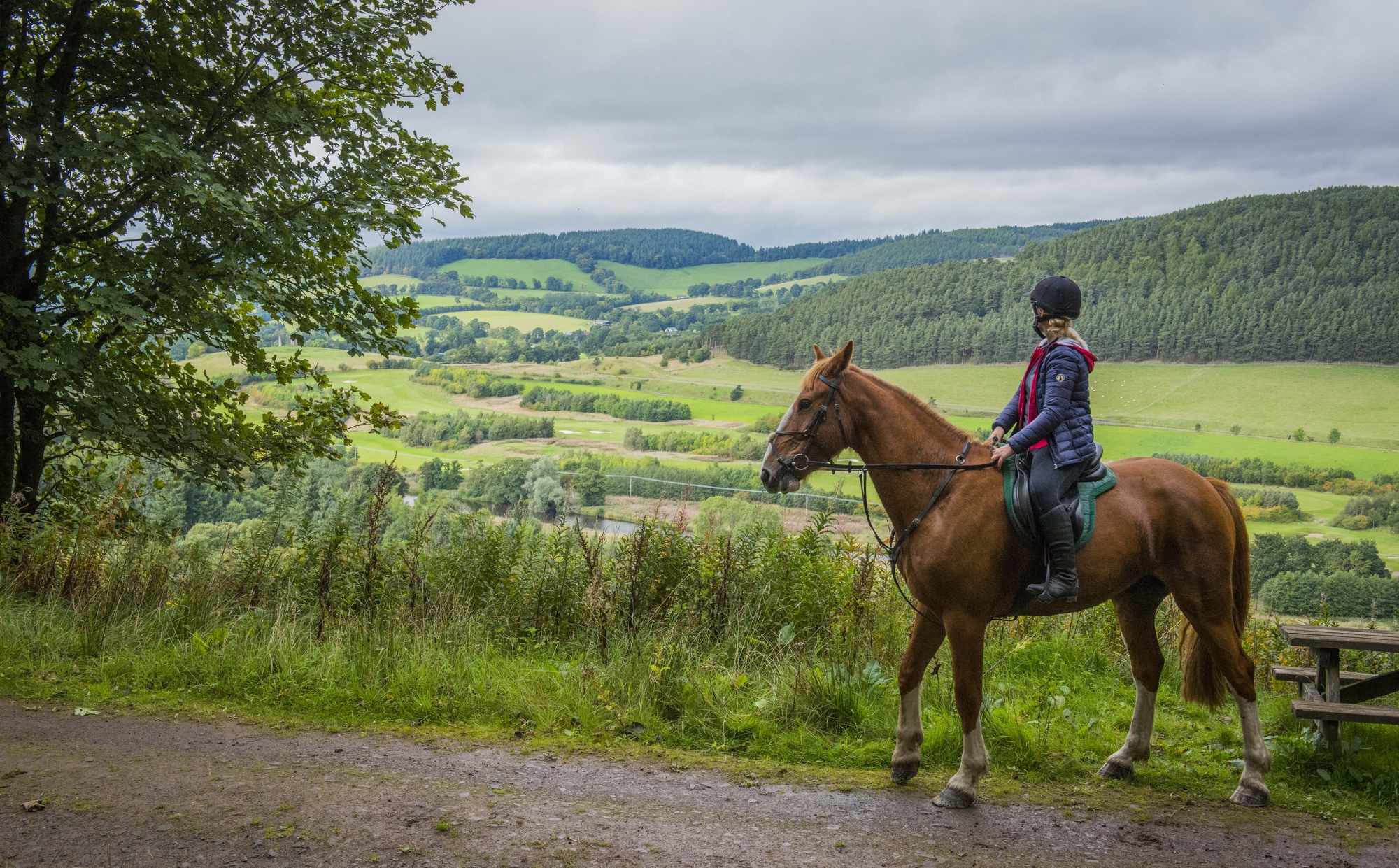 Woman on horse looks over fields and hills, from Cardrona Forest, near Peebles
