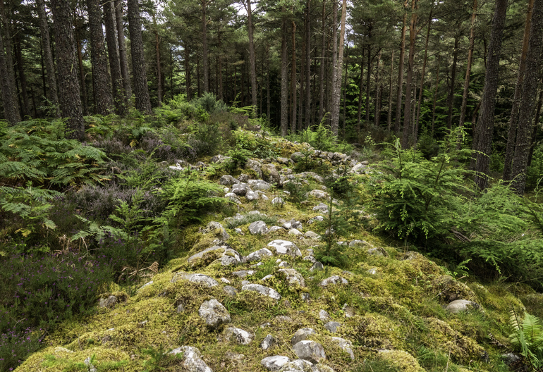 A old stone fort covered in moss