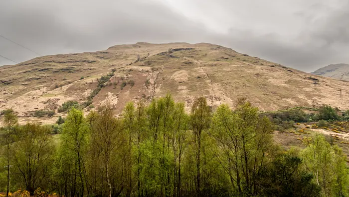 A mountain with trees in front