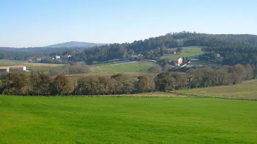 Area of green grass and blue sky