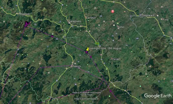 Satellite view of Tweed Valley with osprey flightpath marked