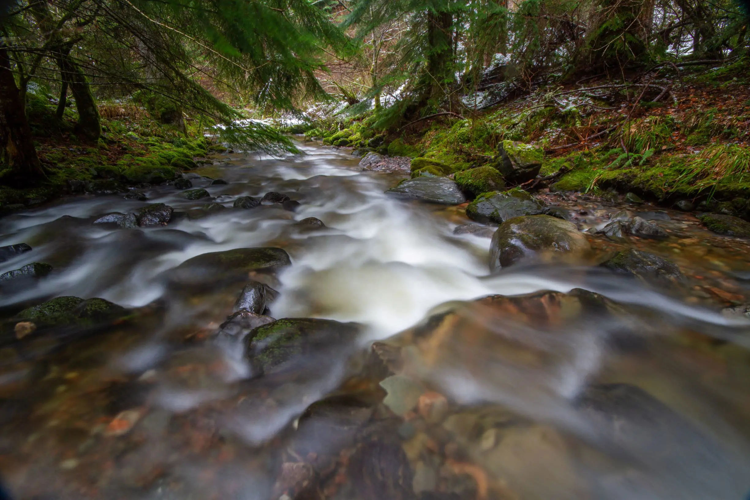 A rocky river beneath trees at Reelig Glen 