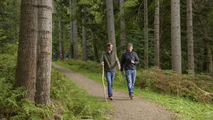 Two people walking along a forest path.