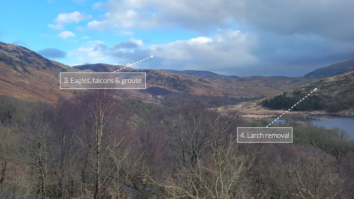 Large valley with bare slopes and woodland lower down with a loch and blue skies, with two text annotations