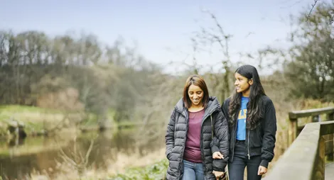 Drooping conifer branch