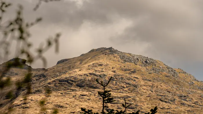 A mountain through trees