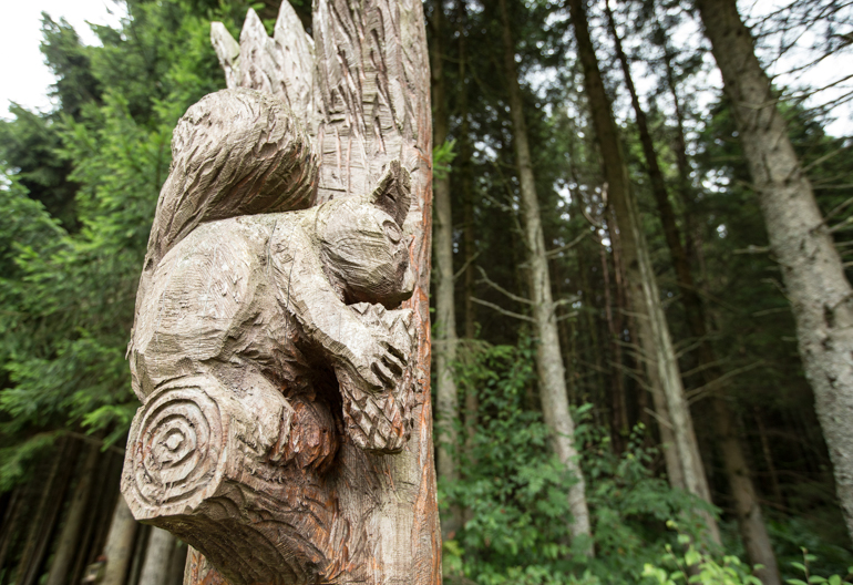 A stump carved into a squirrel eating an acorn, behind is a pine woodland