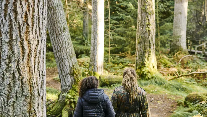 Two people walking along a path with tall trees.