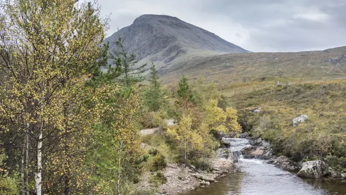 : A small creek running through a mountain range with autumn trees next to it