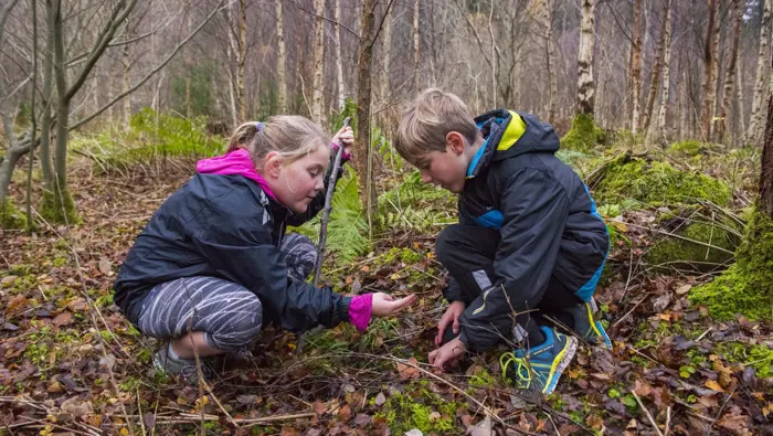 Two children looking through leaves on the forest floor.
