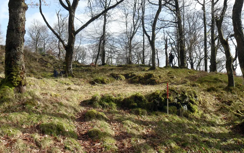 Forest clearing showing a flat platform built into the hillside