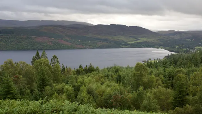 View from a high point looking over a loch with trees in the foreground.