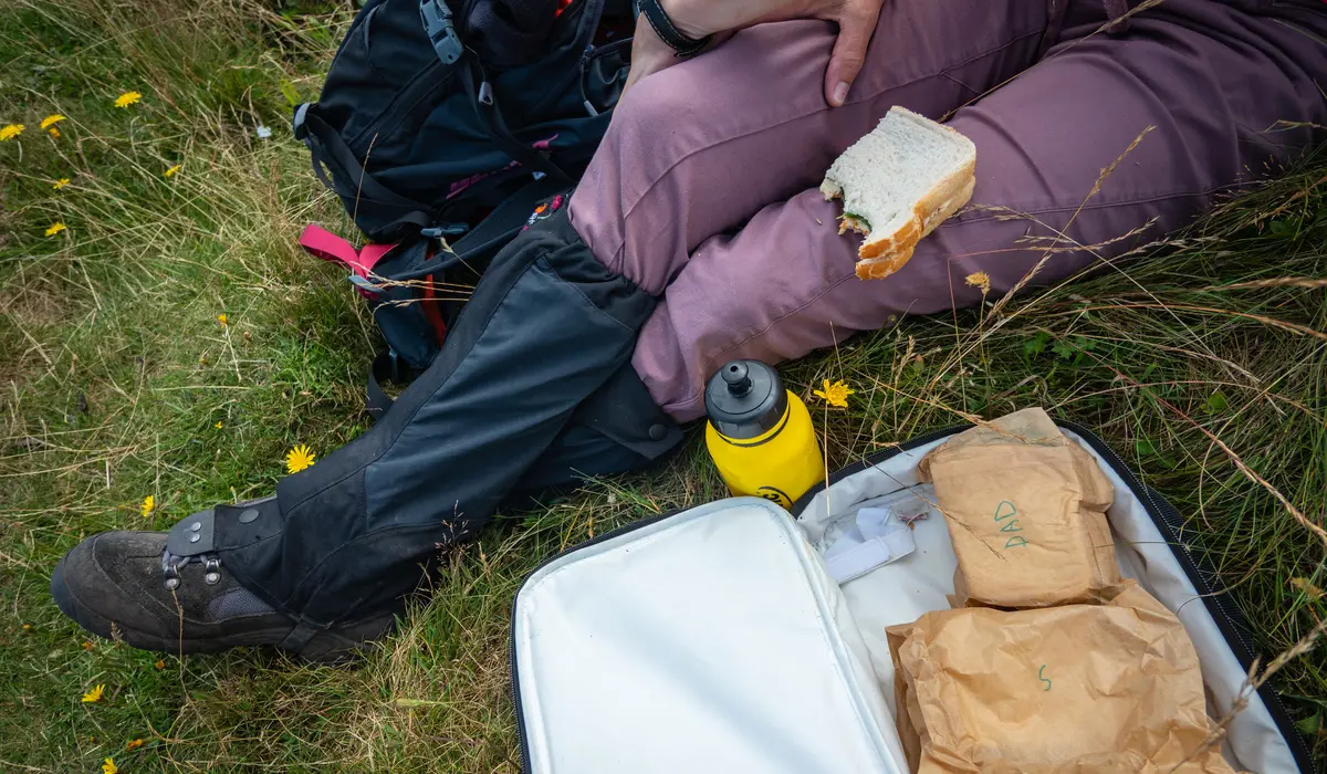 A person sits on grass with a sandwich and packed lunch