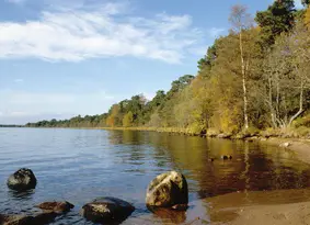 Loch and trees