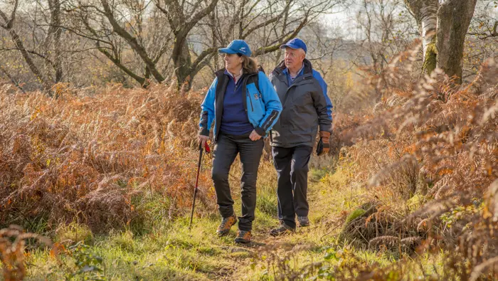 Mature man and woman walk together on woodland path flanked with russet bracken, Windyhill, Renfrewshire Woods, near Johnstone