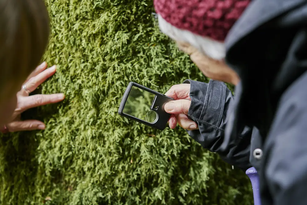 Two people looking at lichen with a magnifying glass