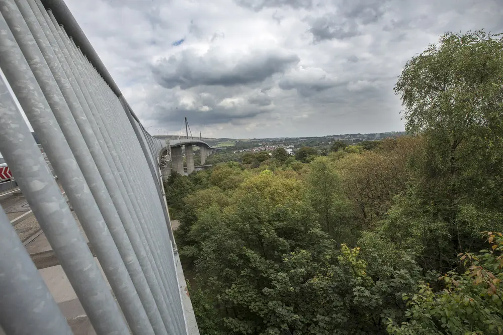 Green trees below a large bridge