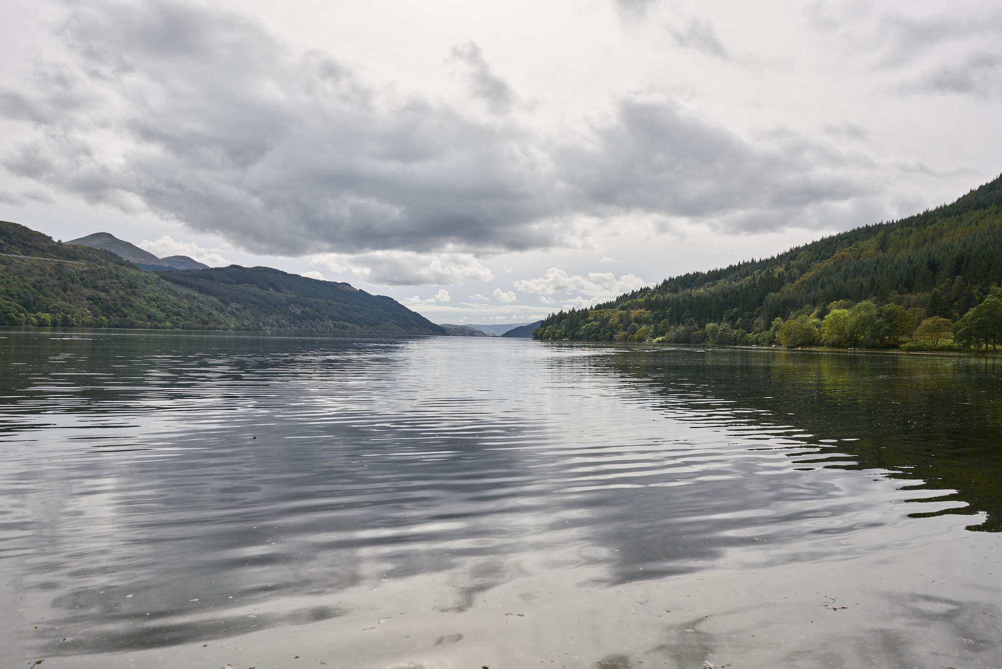  View from Argartan across Loch Long, surrounded by forests and hills