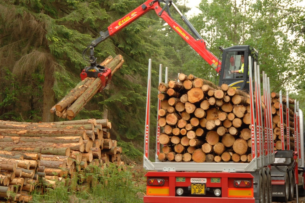 Timber lorry being loaded with logs by an operator in a small crane.
