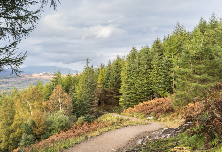 A path disappearing into mixed woodland with large grey mountains beyond.